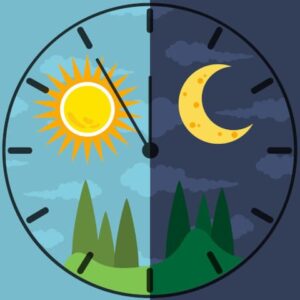 Chronotypen und Biorhythmus – innere Uhr zwischen Tag und Nacht